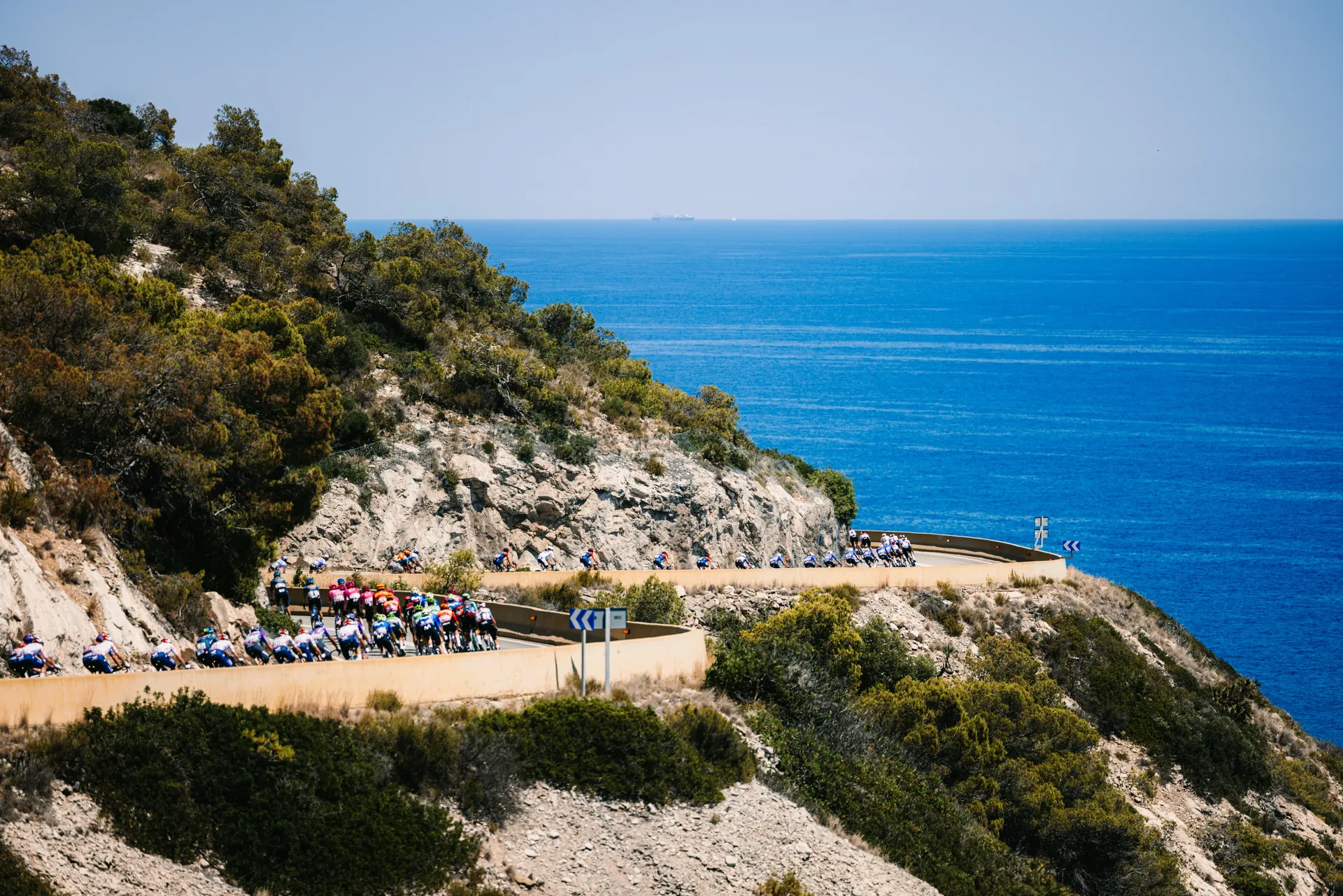 Maximilian Fries / Red Bull Content Pool - Red Bull - BORA - hansgrohe 2026 113th Tour de France